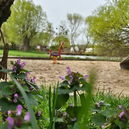 Ferienhaus-hus-stine-an-der-mueritz Semesterbostad *