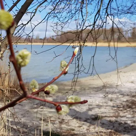 Ferienhaus-hus-stine-an-der-mueritz Semesterbostad