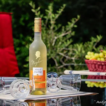 Ferienhaus-hus-stine-an-der-mueritz * Rechlin